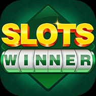 slotswinner icon